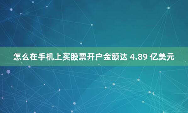怎么在手机上买股票开户金额达 4.89 亿美元