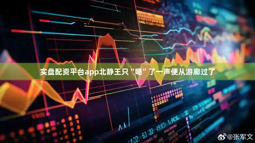 实盘配资平台app北静王只“嗯”了一声便从游廊过了