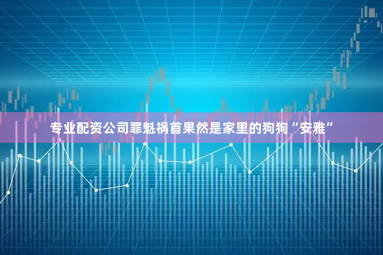 专业配资公司罪魁祸首果然是家里的狗狗“安雅”