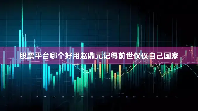 股票平台哪个好用赵鼎元记得前世仅仅自己国家