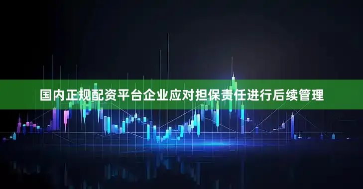 国内正规配资平台企业应对担保责任进行后续管理