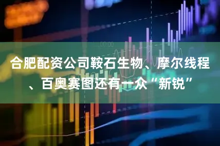 合肥配资公司鞍石生物、摩尔线程、百奥赛图还有一众“新锐”